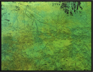 Olga Cafiero - 46°31’53.9»N 6°40’28.0»E, 2024