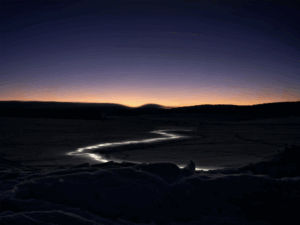 Sarah Carp - Rêve mécanique, 2021