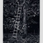 ©Hervé Annen, Dark Fall, 2019