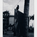 ©Hervé Annen, Post Bird, 2019